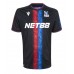 Camiseta Crystal Palace Adam Wharton #20 Tercera Equipación Replica 2024-25 mangas cortas